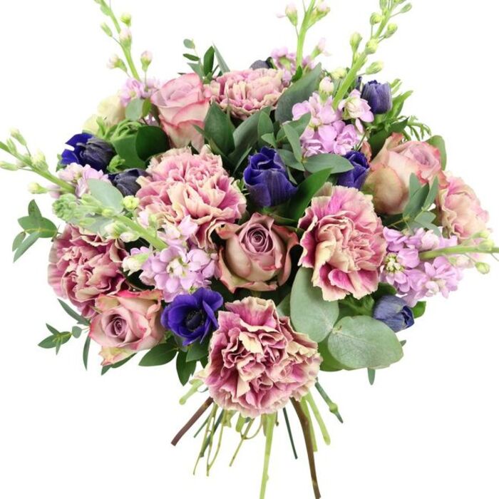 A sophisticated, hand-tied bouquet stands out crisply against a white backdrop, its intricate mix of colours and textures echoing the thoughtful style of a Chase Cross florist. At the centre, large, fully opened garden roses dominate, their petals spiralling in dense, velvety layers that shift from pale blush pink to richer dusty rose and muted mauve, creating a soft yet commanding focal point. Interwoven among them, ruffled carnations and dianthus add generous volume, each bloom marked by creamy or beige-toned centres that gradually deepen towards blush, rose, and plum-pink at the edges, giving the impression of petals dipped in gentle colour. Among these warm shades, cooler notes bring contrast and depth: deep indigo buds, shaped rather like compact tulips or closed anemones, punctuate the bouquet with jewel-like intensity, while a prominent royal blue anemone near the lower front, with its velvety petals surrounding a nearly black centre, captures attention and adds a dramatic accent. Slim spires of pale lilac and lavender stock thread their way upward through the arrangement, their numerous small blossoms introducing a lighter, airy texture and a sense of movement, as if catching the soft light that might fall through a Chase Cross window. Around this, an abundance of fresh foliage encircles the blooms-dark, glossy leaves building structure and shadow, and rounded, silvery eucalyptus leaves bringing a cool, misty tone and the suggestion of a clean, aromatic scent. A few taller green stems tipped with tiny buds extend slightly above the main dome, keeping the outline natural and slightly wild, like a garden gathered at its best. At the base, the stems are neatly aligned and visible, tied firmly to show that this is a freshly crafted bouquet ready for local delivery throughout Chase Cross, perfectly suited for anniversaries, romantic gestures, or sophisticated congratulations.