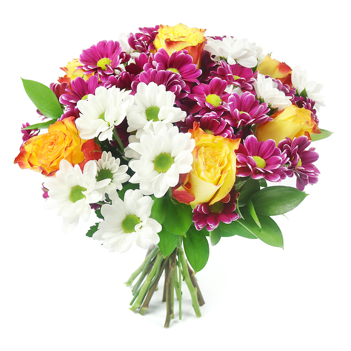 A richly coloured, mixed flower bouquet dominates the frame against a clean white background, each bloom carefully placed to create a rounded, abundant design that feels both modern and inviting, like a favourite local arrangement in Chase Cross. The bouquet is built from a harmonious blend of flower types and hues. At its centre and dotted throughout are elegant bi-colour roses, their petals unfolding from bright golden yellow hearts to deeper orange and faint reddish tones at the edges, suggesting warmth, joy, and a hint of passion. Around these, clusters of white daisy-like chrysanthemums with luminous lime-green centres bring a crisp, refreshing brightness, their simple, open faces adding a sense of purity and ease. Interspersed generously, fuchsia and deep magenta chrysanthemums add visual depth and drama; their tightly layered petals and yellow-green eyes echo the daisy centres while injecting a more intense, jewel-toned richness. Threads of dark green, slightly glossy foliage weave between the blossoms, framing the brighter colours and giving the arrangement a natural, just-picked quality reminiscent of gardens around Chase Cross, near local streets like Chase Cross Road and Pettits Lane. At the base, the stems are neatly gathered and tied, their cut ends ranging from greenish to light brown, clearly visible against the white, underscoring the freshness and handcrafted nature of the bouquet. The combination of colours-vivid yellow, warm orange, clean white, and saturated magenta-creates a lively yet thoughtful mood, suitable for birthdays, anniversaries, or simply to bring a burst of colour to a home or office in RM5, conveying appreciation, celebration, or a caring, everyday gesture.